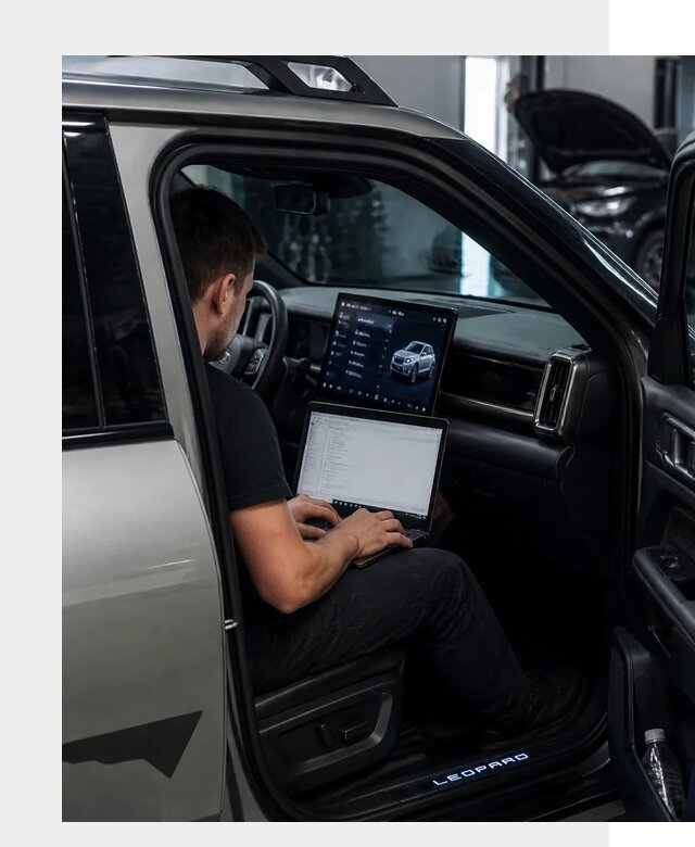 Русификация BYD Leopard 3 в Удомле по цене от 20674 р. | ФастМобиль-Дмл